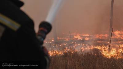 Опубликованы кадры мощных природных пожаров в Воронежской области