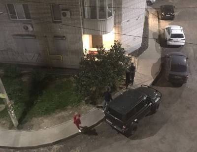 В Смоленске двое парней после ночного отдыха в ресторане повредили 3 авто