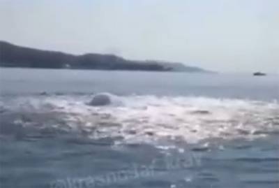 Бурлящее чудовище запечатлели на видео отдыхающие в Сочи у берега