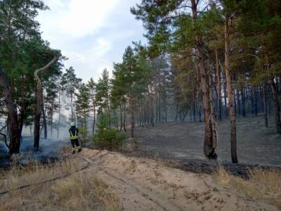 На Донбассе вспыхнуло два пожара. В Луганской области горел лес