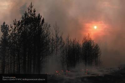 Кадры природных пожаров в Воронежской области попали на видео