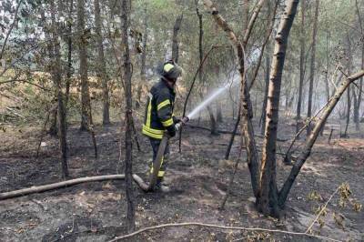 В Станично-Луганском районе вспыхнул крупный лесной пожар: огонь тушат второй день (фото)