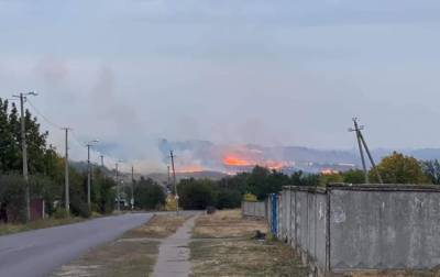 Возле Краматорска вспыхнул масштабный лесной пожар
