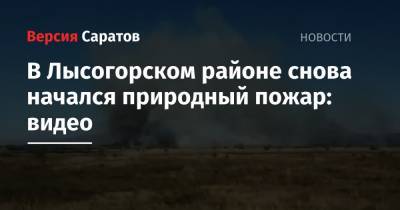 В Лысогорском районе снова начался природный пожар: видео