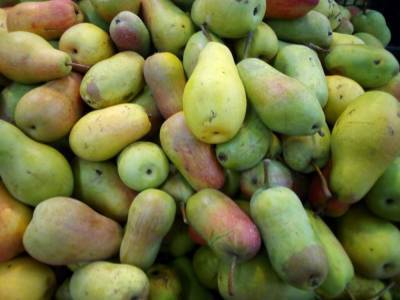 В столичных магазинах осенью расширили ассортимент фруктов: появилась хурма, подешевели груши