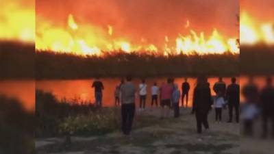 Огненный апокалипсис: в воронежском поселке засняли на видео горящий берег реки