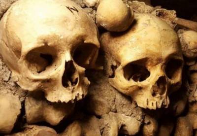 Археологи обнаружили человеческие черепа жертвоприношения, которым более 6000 лет