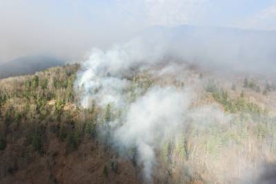 В Карачаево-Черкесии ликвидировали лесной пожар на площади 59,7 га