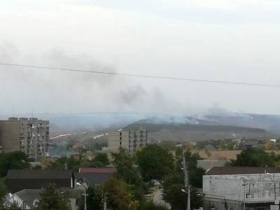 В Донецкой области загорелся лес на площади 6 гектаров: подозревают поджог