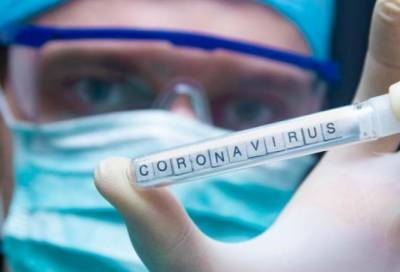 В 13 районах Ленобласти за сутки выявили 63 новых случая коронавируса
