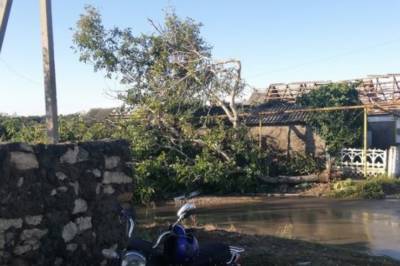 Ураган в Херсонской области: В результате непогоды сорваны крыши, повалены деревья и отрезан газ