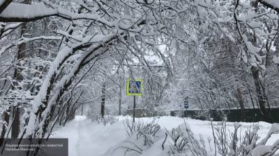 Аномальная погода зимой ожидает всю Россию