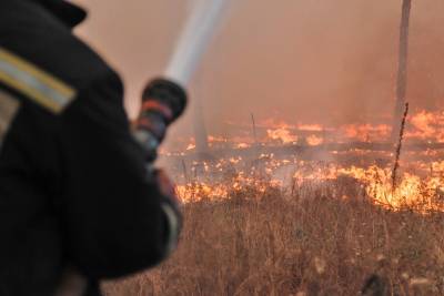 Воронеж в кольце огня: площадь природных пожаров увеличилась вдвое