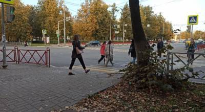 "Решили сделать ад для жителей": блогер Варламов высказался о новых заборах в Ярославле