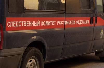 Пропавшая в Свердловской области трехлетняя девочка найдена мертвой