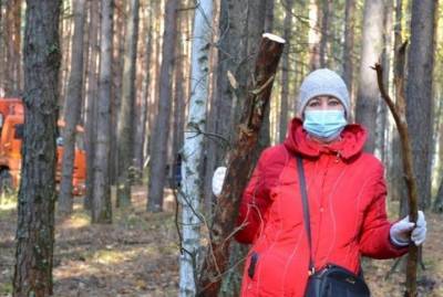 Чиновники тюменского лесного департамента почистили лес рядом резиденцией губернатора