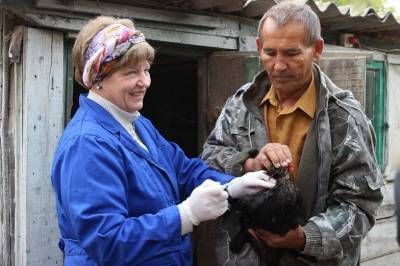 В Ростовской области с начала года от гриппа привили более 2 млн домашних птиц