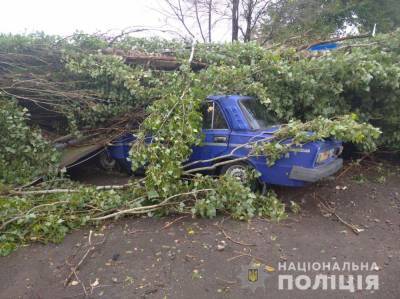 Затопленные улицы и поваленные деревья: в Украине бушует стихия
