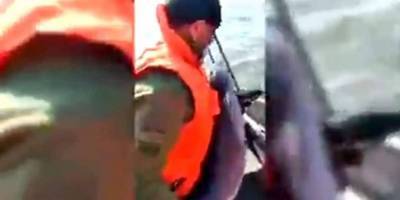 Пограничники спасли в Азовском море запутавшегося в сетях дельфина видео