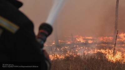 В Воронежской области локализованы два крупных пожара