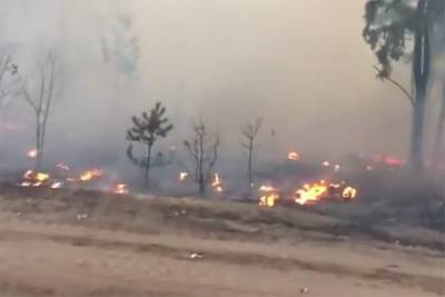 Два ландшафтных пожара ликвидировали в Воронежской области