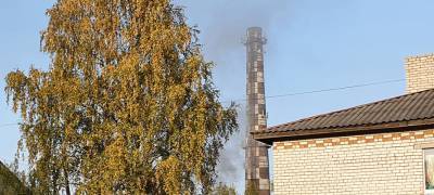 Жильцы домов рядом с асфальтовым заводом в Петрозаводске покидают свои квартиры, чтобы не задохнуться