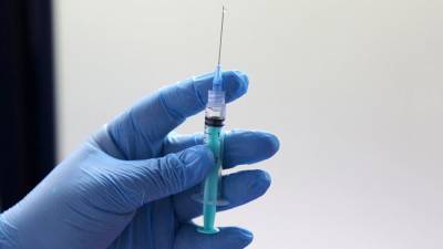 Названа дата начала вакцинации российским препаратом в Белоруссии
