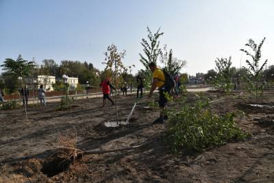 В Астрахани высадили новые деревья