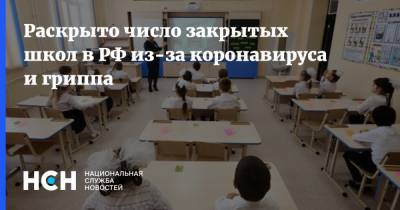 Раскрыто число закрытых школ в РФ из-за коронавируса и гриппа