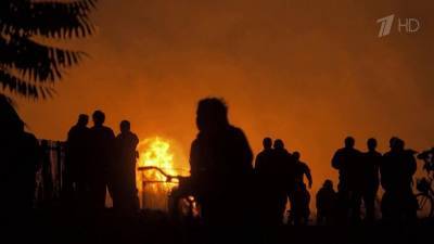 Воронеж оказался в огненном кольце из-за полыхающего в области так называемого ландшафтного пожара