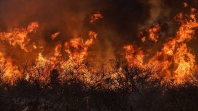 МЧС и авиация борются с природными пожарами в Воронежской области