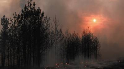 В Воронежской области бушующие пожары уничтожили 28 домов