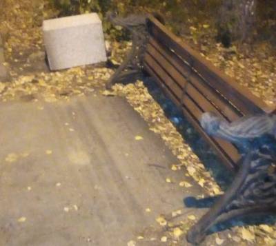 Полицейские задержали подозреваемых в повреждении лавок в парке Гагарина