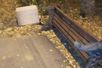 Полиция прокомментировала погром в парке Гагарина в Рязани