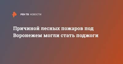 Причиной лесных пожаров под Воронежем могли стать поджоги