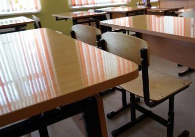 Рязанскую школу полностью закрыли на карантин