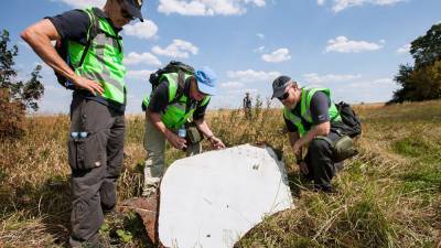 Голландский журналист объяснил, почему Россия невиновна в крушении MH17