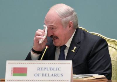 Белорусская оппозиция не смогла привлечь к ответственности Лукашенко