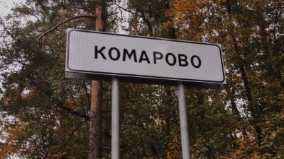 Муниципального депутата поселка Комарова задержали по подозрению в убийстве жены