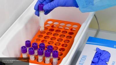 Тест на коронавирус за сутки сдали более 15 тыс. петербуржцев