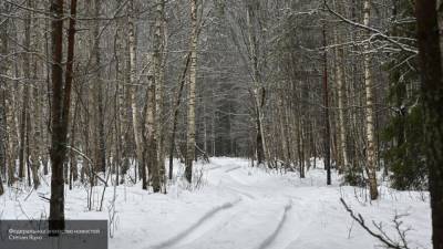 Синоптики предупредили об аномальных зимних температурах в России