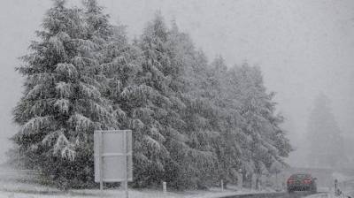 В Швейцарии прошел сильный снегопад, — Fox News (ФОТО)