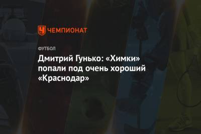 Дмитрий Гунько: «Химки» попали под очень хороший «Краснодар»