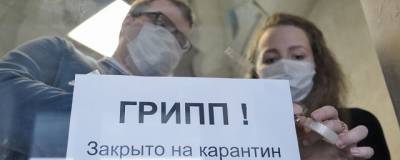 Минпросвещения: в России из-за гриппа на карантин закрыты 111 школ
