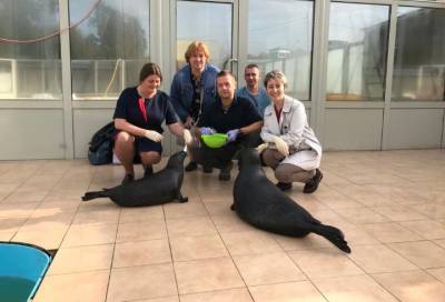 Сотрудников Охотнадзора Ленобласти поблагодарили за активную помощь в спасении краснокнижных тюленей