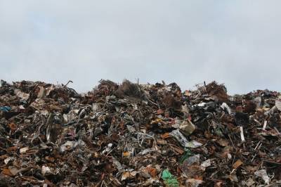 Надо меньше мусорить: власти проведут в России «генеральную уборку»