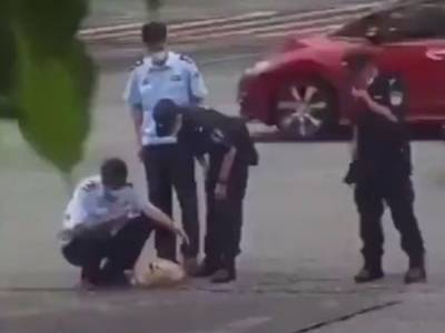 В Китае полицейские спасли собаку, оказавшуюся посреди оживленной трассы