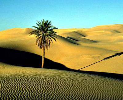 Учёные: В будущем пустыня Сахара снова превратится в зелёный оазис