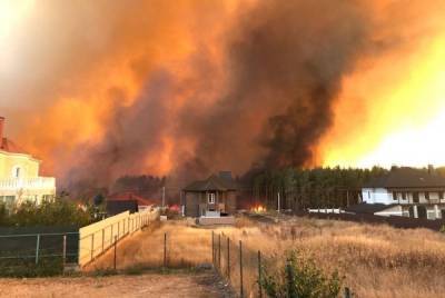 Природные пожары под Воронежем полностью ликвидированы