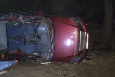 В Запорожской области авто слетело с дороги и врезалось в дерево: трое погибли